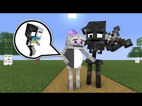 CraftTheHero - Monster School : WITHER & SKELETON GIRL BABY STORY - Minecraft Animation