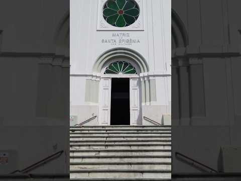 AVENIDA BRASIL  |  Vem com o Fernandim #minasgerais #plantas