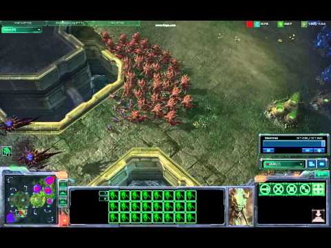 Zerg Baneling Greeting