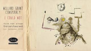 WILLARD GRANT CONSPIRACY - I Could Not