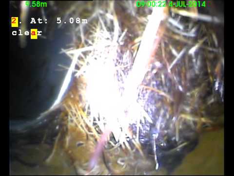 140704 0859A 35byngst