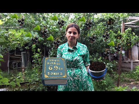 Blackcurrant jam, the number one remedy for colds\A book cake that wowed a customer