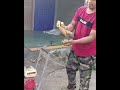 MESIN CACAH BATANG SINGKONG Shorts Pakanternak