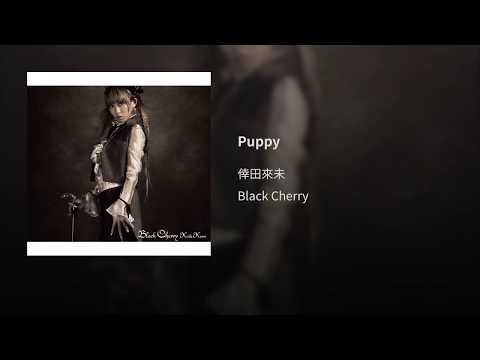 Video thumbnail for Puppy