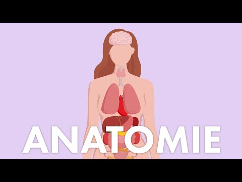 Weibliche Anatomie | HEISSKALT INFORMIERT