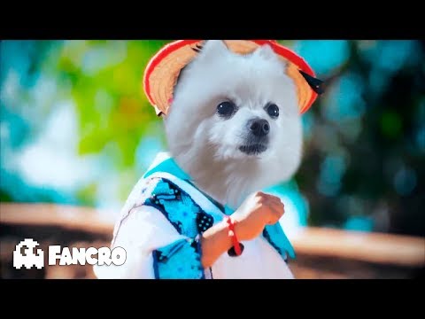 Orange Movement Remix HD - Animals Cover