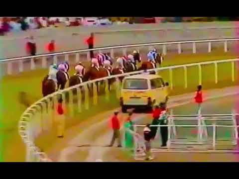 Le Turbo (V.Naiko) International Jockeys Meeting - Mohammad Moorad Keerpah -Free Horse Racing Tips