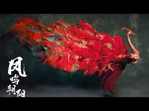 It was arranged in less than a week! Yang Liping Reveals the Behind the Scenes of the Creation of