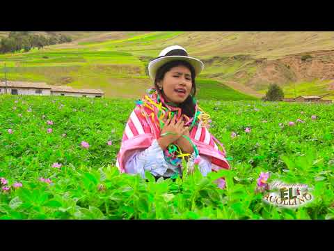 ARACELY LEIVA DAMIAN 2019 - EL IDIOTA