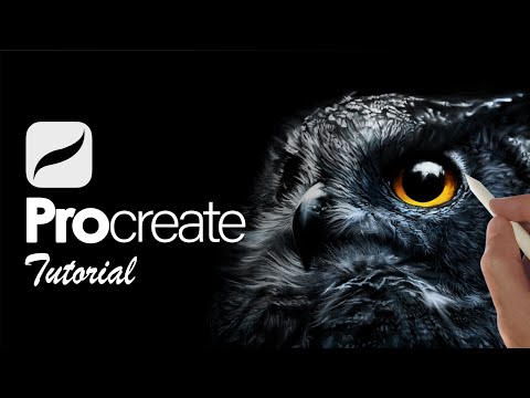 This is How I Paint Owl Portraits in Procreate | BEGINNERS Tutorial