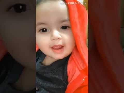 papa papa papaa #shorts #ytshorts