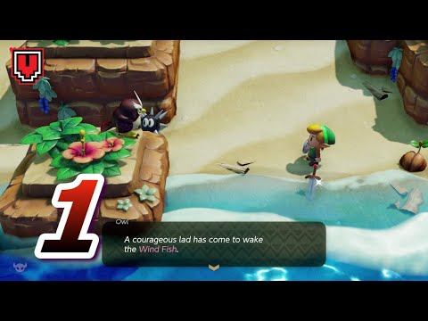 LINK'S AWAKENING SWITCH: Mysterious Forest & Tail Cave // 100% walkthrough part 1 (Hero mode)