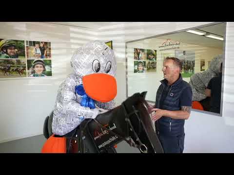 Wie wird man Jockey?