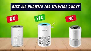 ✅ Best Air Purifier for Wildfire Smoke: Air Purifier for Wil