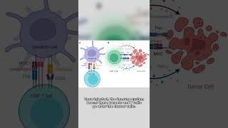mRNA Kanser Aşısı Melanomda Nüks Riskini Yüzde 42 Azalttı