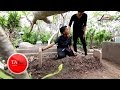 AYAH - LAONEIS BAND ( Video Teaser) AYAH - LAONEIS BAND ( Video Teaser)