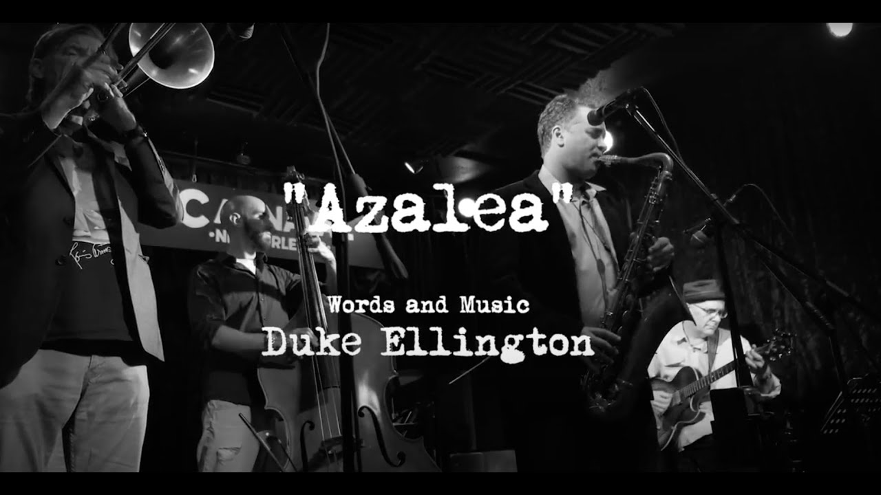 Promotional video thumbnail 4 for Ted Hefko's New Orleans Band