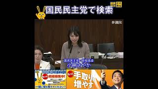 国民民主党 小林さやか こども子育て特別委員会 4月20日