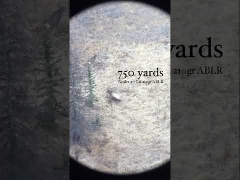 Expensive Ammo Worth the Price??? [Nosler vs Remington at the Range]