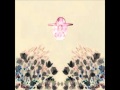 Devendra Banhart - Lover 