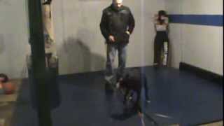 Roland at 51/2 mos. Just some fun motivational work.