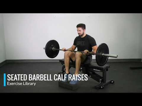 Watch Barbell Seated Calf Raise on YouTube