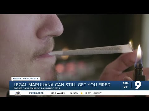 Legal or not, Marijuana can still get you fired