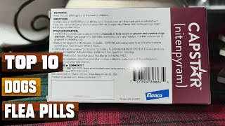 Best Flea Pills for Dogs in 2026 (Top 10 Picks)