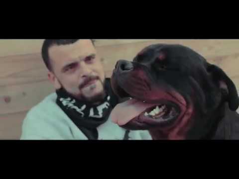 Perro Potencialmente Peligroso "Videoclip Oficial"