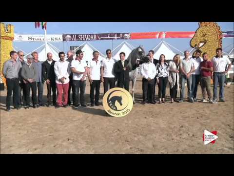 1st place N.134 HARIRY AL SHAQAB - Menton 2015 - Senior Male Championship (Class 16)