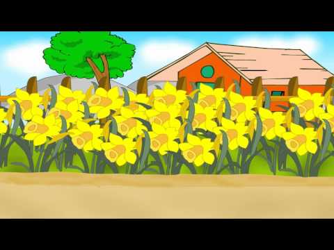Daffy Down Dilly - English Nursery Rhymes - Cartoon/Animated Rhymes For Kids