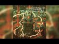 Brutal Death Metal 2022 Full Album ESKHATON Horracle
