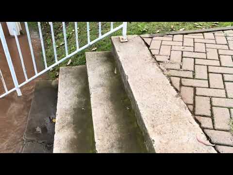 29/07/2026 - LAJEADO RS ENFRENTA MAIS UMA ENCHENTE # VÍDEO # inscreva-se Canal do Passarinho 