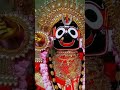 Oriya Bhojan Short Status Video Hsd Odia