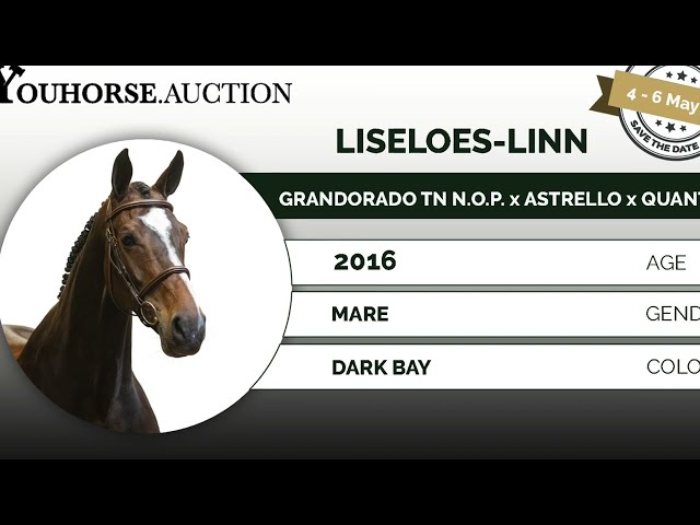 Liseloes-Linn trainingsvideo