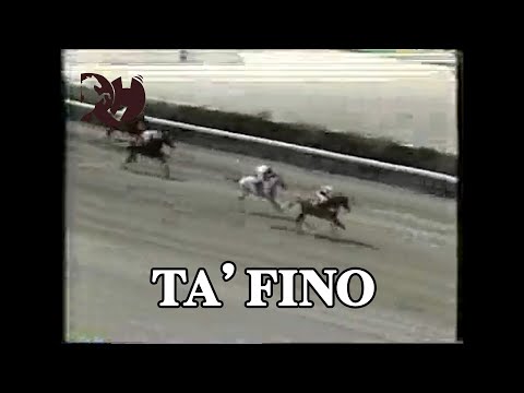 Gustavo Ravell vs Hector Alonzo carrera donde TA´FINO gana el Clasico Dia del Ejercito de 1993.