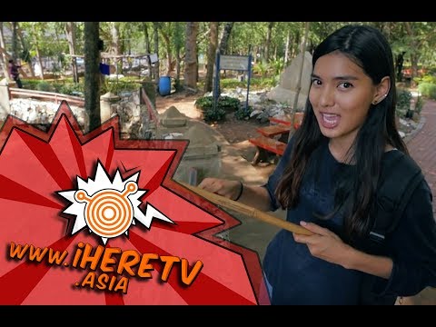 เที่ยวแพร่