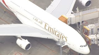 ガーシー逮捕時の各ライブカメラが最高過ぎた‼️