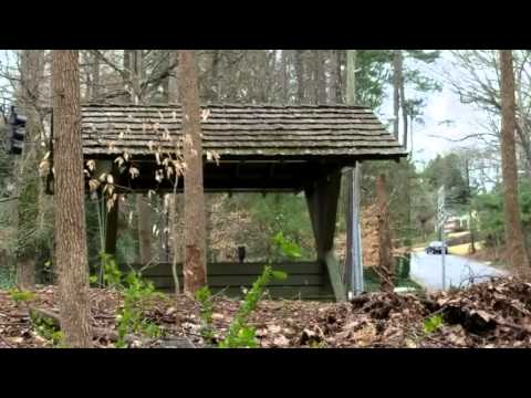 Olmsted Park Tour in Deepdene  Park