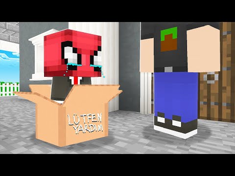 FERİTED VS MİNECRAFT #254