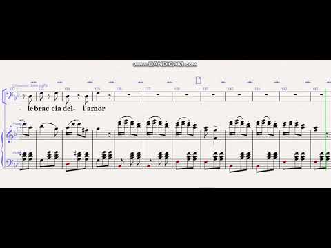 Di Madride Noi (Matador Chorus) Bass