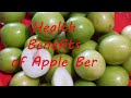 ఆరోగ్యానికి ఆపిల్ బేర్ health benefits of apple ber fruit telugu regu pandu uses