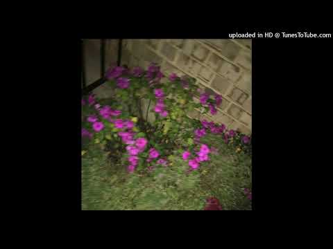 marrgielaa - bitch (twovrt, wise)