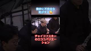 Download lagu チキッて一瞬乗り遅れたチャイコフスキー。#フルート #チェロ #オーケストラ #クラシック #音楽 #コンサート #チャイコフスキー mp3