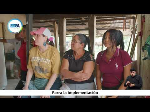 ¡Impulsando la Apicultura en Puerto Parra! 🐝