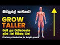 උස වැඩිකර කැපී පෙනෙන ආකර්ශණීය සිරැරක�