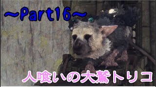 【実況】1人の少年と1匹の大鷲の新たなる神話【人喰いの大鷲トリコ】Part16