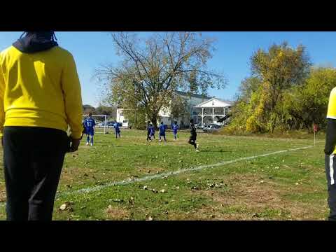Springfield FC yellow wall (black) vs Palmer