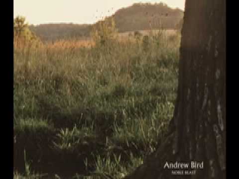 Andrew Bird - Souverian