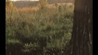 Andrew Bird - Souverian